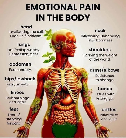 Tattoo Pain Chart by best tattoo shop in Saskatoon