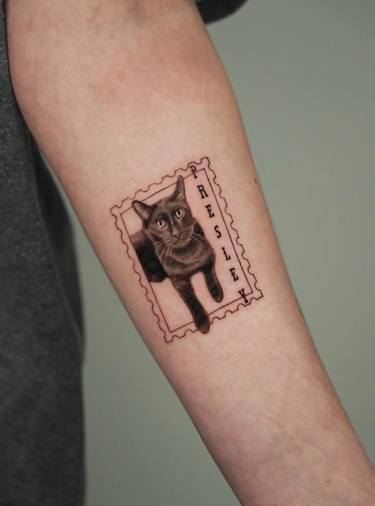 Cat portrait specializing tattoo shop in Saskatoon